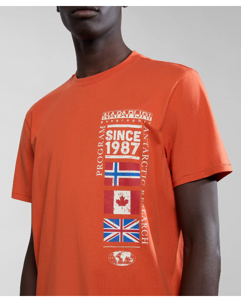 Ανδρικό T-shirt Napapijri S-TURIN 1 NP0A4HQG1761 T-SHIRTS