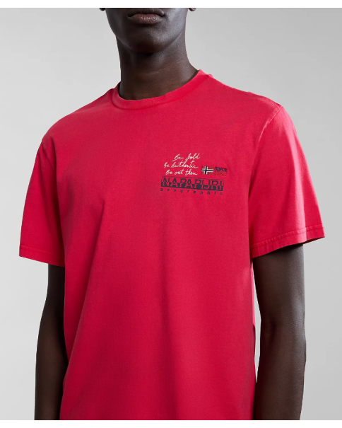 Ανδρική Μπλούζα Napapijri S-COLVILLE NP0A4HS5002 T-SHIRTS