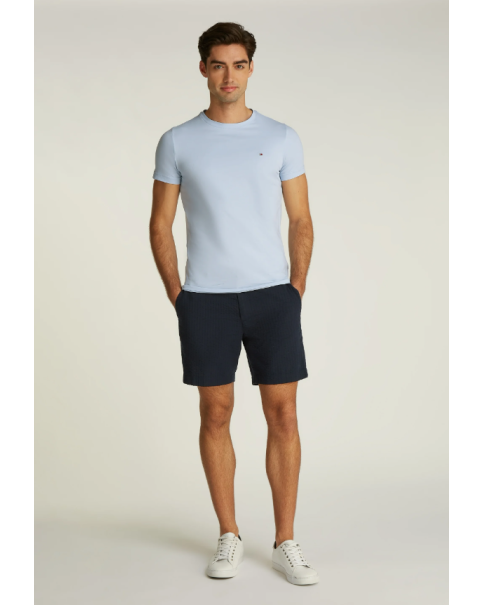 Ανδρικό T-Shirt Tommy Hilfiger MW0MW39995 Breezy Blue/Carbon Navy T-SHIRTS