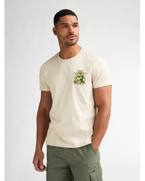 Ανδρική Μπλούζα Petrol M-1060-TSR688 T-SHIRTS Ανδρική Μπλούζα Petrol M-1060-TSR688 T-SHIRTS