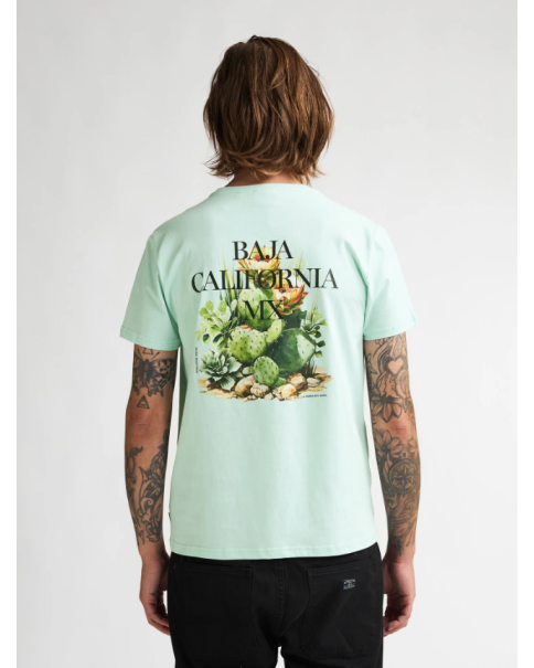 Ανδρική Μπλούζα Petrol M-1060-TSR688 T-SHIRTS Ανδρική Μπλούζα Petrol M-1060-TSR688 T-SHIRTS