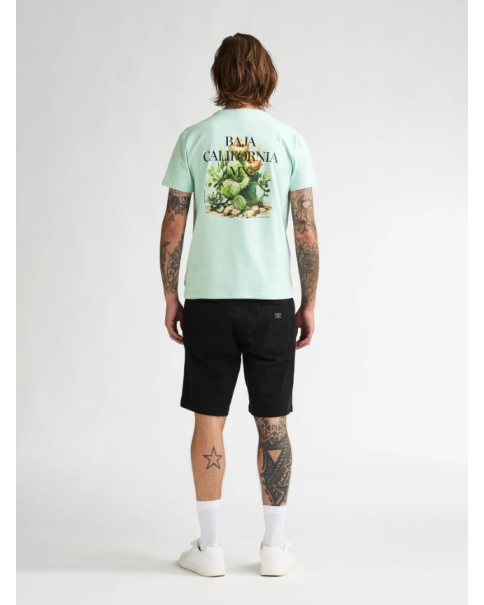 Ανδρική Μπλούζα Petrol M-1060-TSR688 T-SHIRTS Ανδρική Μπλούζα Petrol M-1060-TSR688 T-SHIRTS