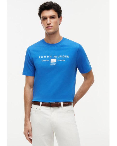 Ανδρικό T-Shirt Tommy Hilfiger MW0MW42365 White/Black/Blue Orbit T-SHIRTS