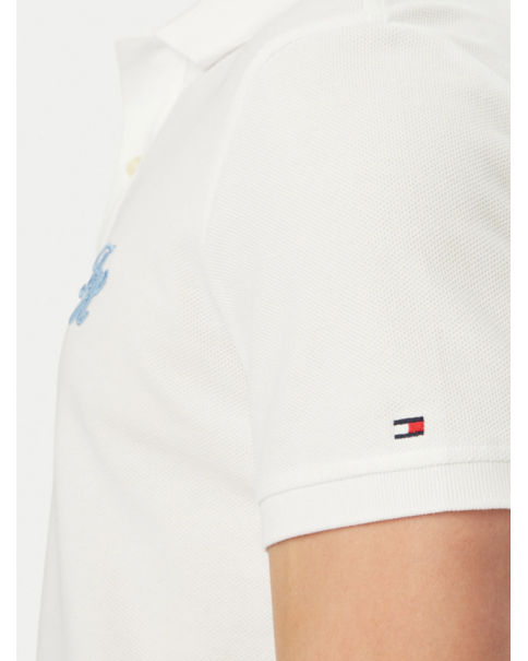 Ανδρική Μπλούζα με γιακά Tommy Hilfiger MW0MW43046 POLO T-SHIRTS Ανδρική Μπλούζα με γιακά Tommy Hilfiger MW0MW43046 POLO T-SHIRTS