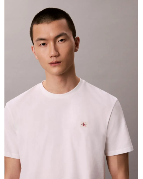 Ανδρικό T-shirt Calvin Klein LV04RC272G Jersey Classic Tee T-SHIRTS Ανδρικό T-shirt Calvin Klein LV04RC272G Jersey Classic Tee T-SHIRTS