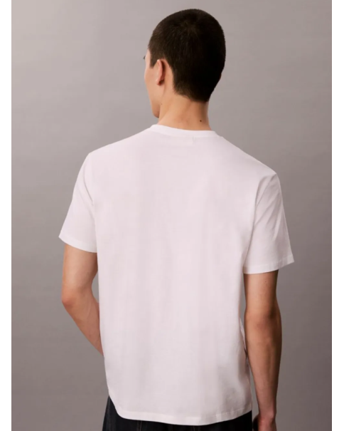 Ανδρικό T-shirt Calvin Klein LV04RC272G Jersey Classic Tee T-SHIRTS Ανδρικό T-shirt Calvin Klein LV04RC272G Jersey Classic Tee T-SHIRTS