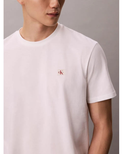 Ανδρικό T-shirt Calvin Klein LV04RC272G Jersey Classic Tee T-SHIRTS Ανδρικό T-shirt Calvin Klein LV04RC272G Jersey Classic Tee T-SHIRTS