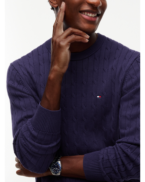 Ανδρικό Cotton Πλεκτό Tommy Hilfiger MW0MW33132 Purple KNITWEAR