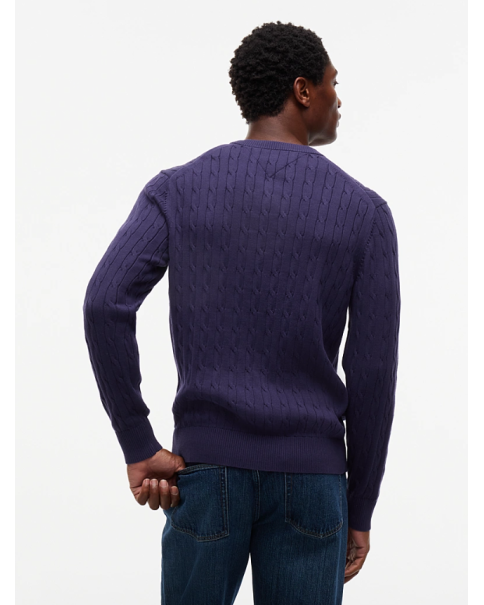 Ανδρικό Cotton Πλεκτό Tommy Hilfiger MW0MW33132 Purple KNITWEAR
