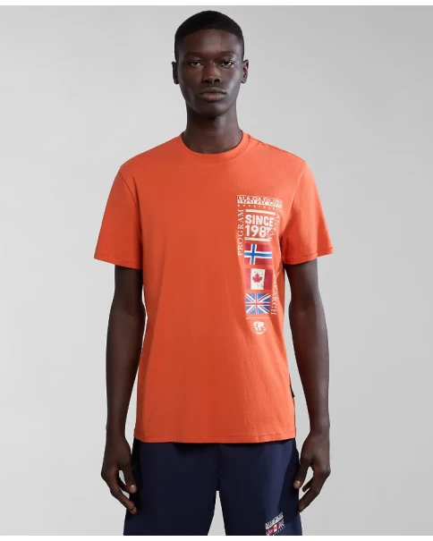 Ανδρικό T-shirt Napapijri S-TURIN 1 NP0A4HQG1761 T-SHIRTS Ανδρικό T-shirt Napapijri S-TURIN 1 NP0A4HQG1761 T-SHIRTS