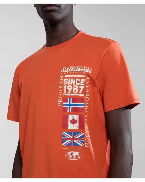 Ανδρικό T-shirt Napapijri S-TURIN 1 NP0A4HQG1761 T-SHIRTS Ανδρικό T-shirt Napapijri S-TURIN 1 NP0A4HQG1761 T-SHIRTS