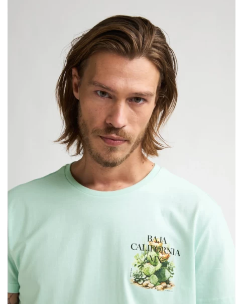 Ανδρική Μπλούζα Petrol M-1060-TSR688 T-SHIRTS Ανδρική Μπλούζα Petrol M-1060-TSR688 T-SHIRTS