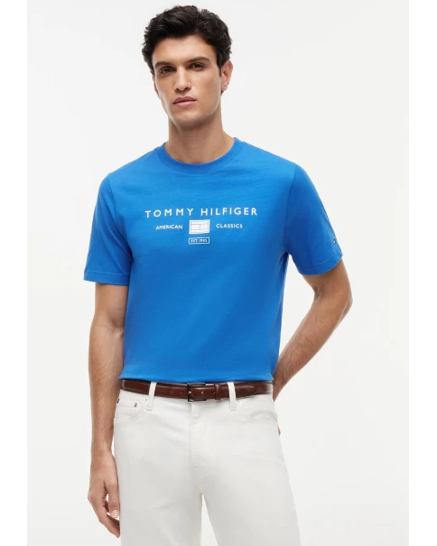 Ανδρικό T-Shirt Tommy Hilfiger MW0MW42365 White/Black/Blue Orbit T-SHIRTS